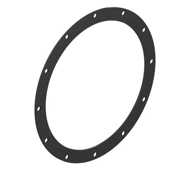 Flange Gasket